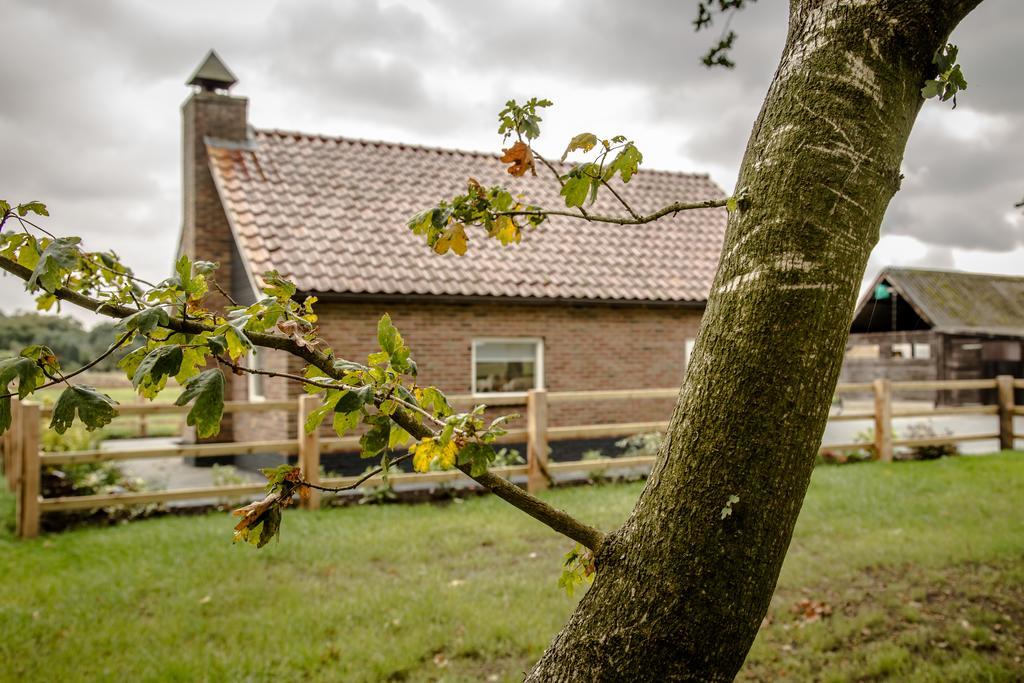 Het Kleine Landgoed Villa Haarle Dış mekan fotoğraf