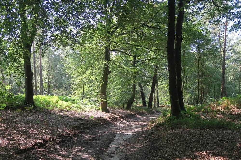 Het Kleine Landgoed Villa Haarle Dış mekan fotoğraf